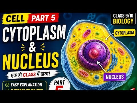 Cell Part-5 Cytoplasm and Nucleus #htet#cbse#hbse#Olympiad