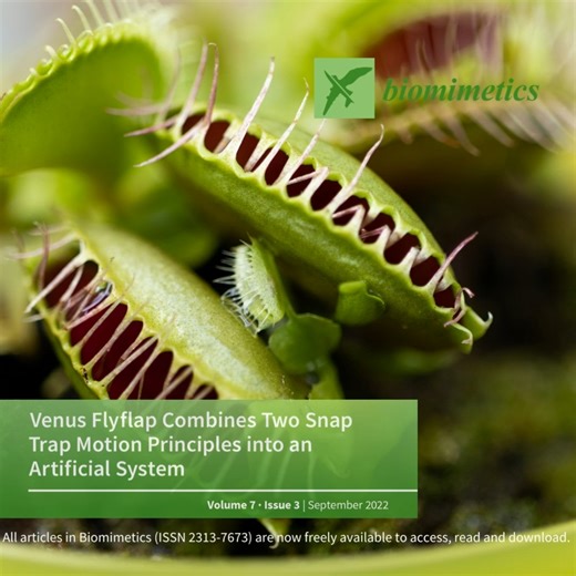 5.4K views · 102 reactions | All articles in Biomimetics (ISSN...