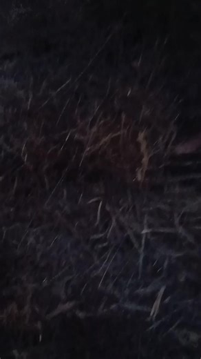 #farmin #fyp #shit #farming #farmin