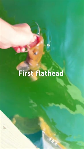 First ￼flathead catfish￼