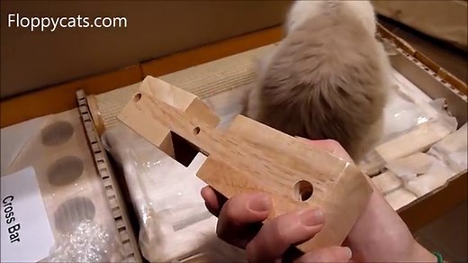 Cat Trees for Large Cats: Cats Receive Cat Power Tower Modern Cat Tree for Review - ねこ - Floppycats