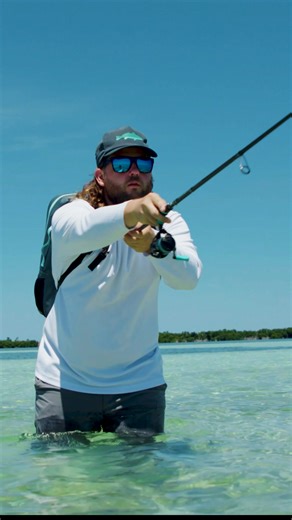 Up to 35% Off on Toadfish products! Inshore, Nearshore, Ultra-light, Fly, Surf - All your fishing needs, one convenient spot Each product sold helps give back to coastal conservation! | Toadfish