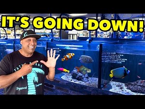 TOP 5 FISH FOR 10 gallon SALTWATER AQUARIUM!