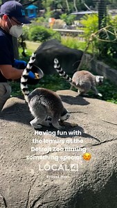 We’re at the Detroit Zoo today filming something special. Stay tuned for more updates! 🙊 | WDIV Local 4 / ClickOnDetroit