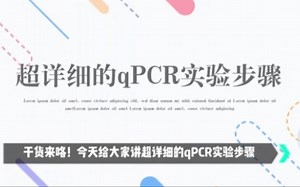 超详细的qpcr实验步骤来咯