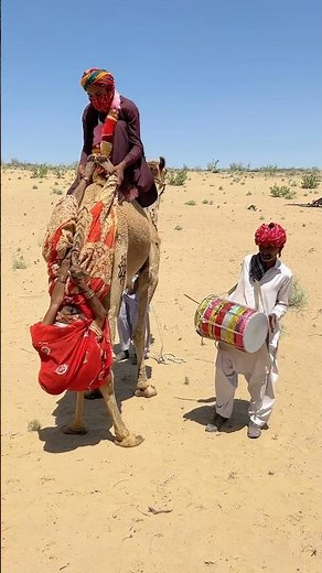 تقاليد صحراوية قديمة وخطيرة! شاهد كيف يؤدي العروسان هذه الحركات الغريبة على ظهر الجمل