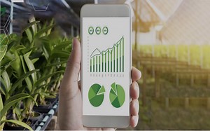 Israeli AgTech: Driving innovation to feed the world sustainably | The Times of Israel