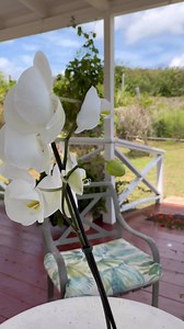 Agriculture Tourism, we blend agriculture and tourism. Check out our cabin in our garden. https://www.airbnb.com/l/625Pu6S1. | Wenner Hill Gardens
