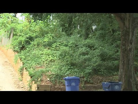 The city mistakenly tore down this man’s home Now, they are suing him for the demolition costs