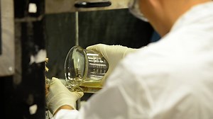 71 reactions · 47 shares | We have so much to be thankful for in New Brunswick. Today we say thanks to the brilliant minds who teach us while pushing themselves to study and shape our world. | University of New Brunswick | Facebook