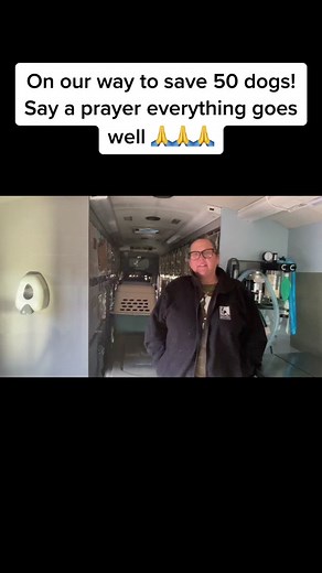 Strayrescue.org/emergency-rescue We’re on our way to save 50 #dogs today from a dire situation. Thank you to everyone who said “I will foster!”