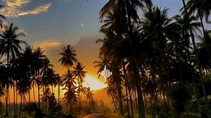 One Direction Night Changes Video Download