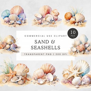 Watercolor Sea Shells Clipart, Sea Shell Clip Art, Muted Colours Shells and Coral PNG, Neutral Summer Beach Clipart, Sand and Ocean Graphics - Etsy