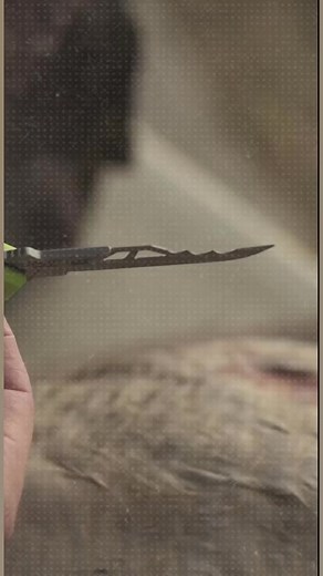 3K views · 17 reactions | You NEED the Enrage Isolate for this hunting season. #Schrade | Schrade | Facebook