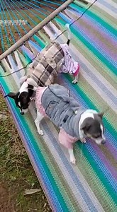 Luna y brissa | Princes