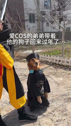 My Cousin's Cosplay Adventure: Home for the Spring Festival with His Pet Dog