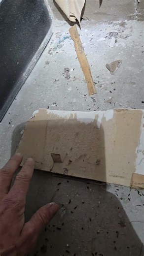 How to Remove Mold From Wall