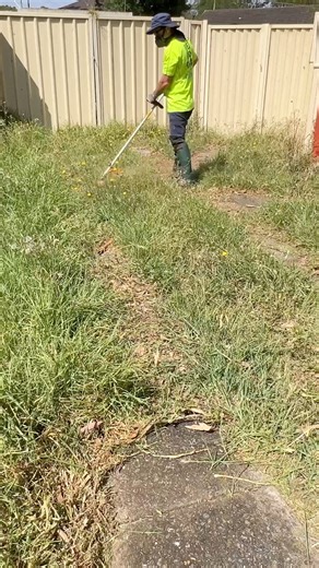 Lawnmower Man with no concept of time makes A1 Grade Satisfying Videos. | Tim The Lawnmower Man