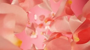 Super Slow Motion Falling Pink Rose Stock Footage Video (100% Royalty-free) 3394401529 | Shutterstock