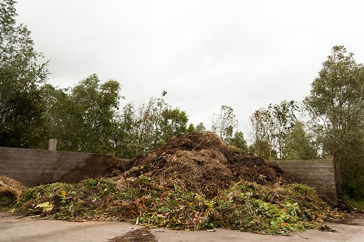 How to make a compost heap: 10 top tips