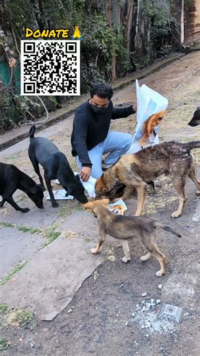 I Need Your Support 🙏 #dogs