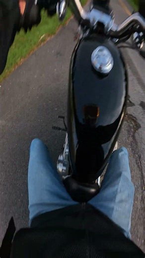 This is why Harleys suck #harleydavidson #dyna #sportster #biker #motovlog