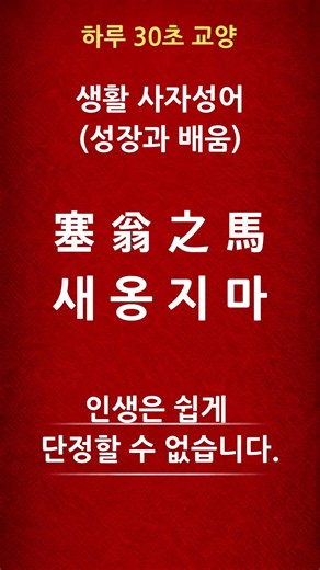 지금의 실패가 끝이 아닙니다 | 새옹지마#생활사자성어 #새옹지마 #회남자 #하루30초교양 #인생