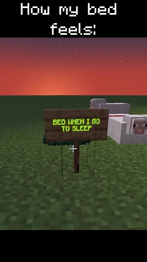 #minecraft #mc #minecraftmemes #gaming #viral #blowthisup #fyp #foryoupage