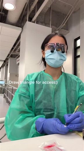 Understanding Your First Endodontic Session