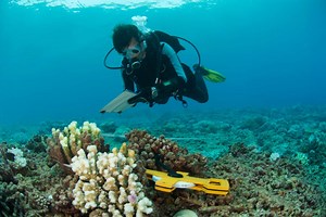 Who we are - The Cousteau Society