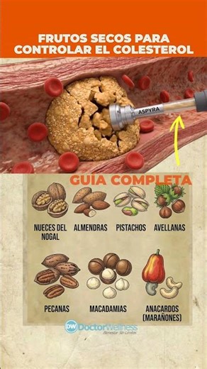 Los MEJORES 7 FRUTOS SECOS para ¡CONTROLAR el COLESTEROL! Respaldo científico