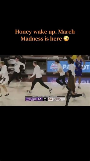 The net sound is absolutely sensational 😭🔥🔥 #basketball #nba