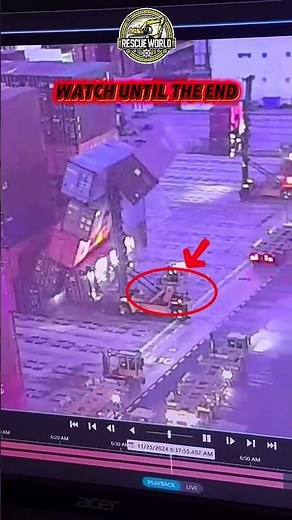 Forklift Operator Survives After Container Falls on His Vehicle #fails #accident #news #fyp