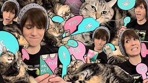 305K views · 10K reactions | Penny the talking cat ventures OUTSIDE, plays a game and checks out her new water fountain! | Aymie Herman | Facebook