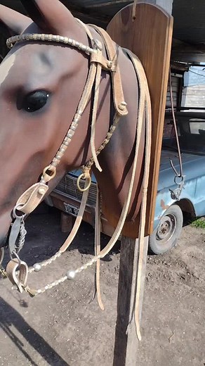 Close-Up of a Beautiful Brown Horse's Bridle