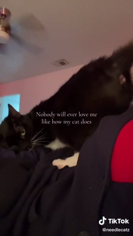 I love my baby 💕 #cat #kitty