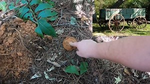 We found Civil War relics and silver on a forgotten wagon road