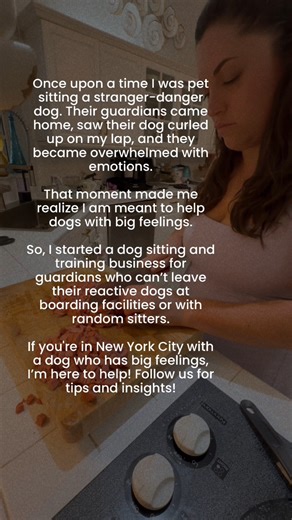 Sit. Stay. Stella. • Dog Training & Sitting NYC on Instagram: "To be honest, I was a hot mess when I got Stella and found out she had lots of behavioral challenges. I felt like I was a failure and nobody woould understand what we were going through. So I thought I would try pet sitting and hang out with “normal” dogs as a way to escape. Funny enough, my first client wasn’t “normal” at all, nor my second, third, or even 10th. Eventually I realized that being about to help others with complex dogs
