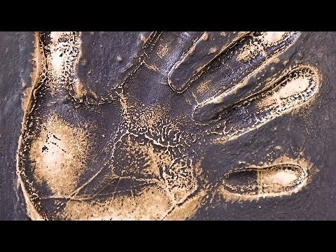 Why Hand Lines are So Revealing | Palm Reading