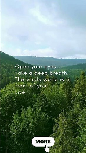 60 Seconds of Amazon Jungle Sounds | Relax, Focus & Unwind