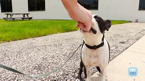 10K views · 192 reactions | Benadryl is one of the few...