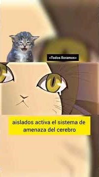 ¡¡¿FANTASMAS?!! EL PROFUNDO MENSAJE DE NATSUME YUUJINCHOU #manga #emociones #anime
