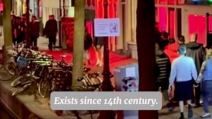 2.3K views · 17 reactions | Red Light District - Rossebuurt "pink/...