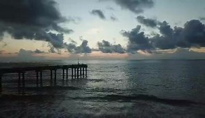 3.5K views · 983 reactions | Three Minutes of Bliss | First Light InSite | Facebook