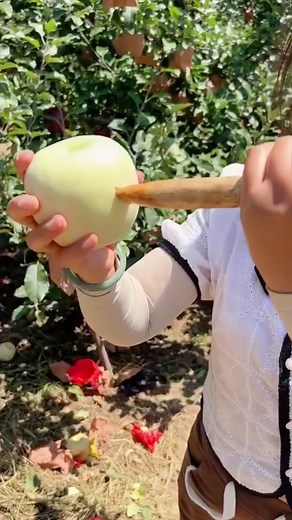 Tài khoản được đề xuất