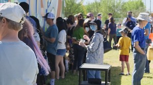 Inspiring Environmental and Climate Activism Through Art