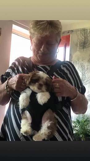 Annie Bailey on Reels