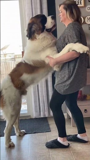 Big Dog Vibes. #shorts