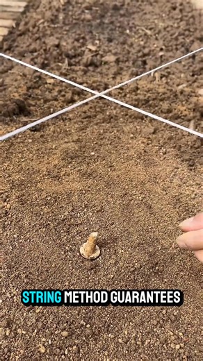 1.2K views | Watch the String Line Center-Point #DIYHack #LifeHacks #ConstructionTips #GardeningTips #HomeImprovement | Hero Art 1.2 | Facebook