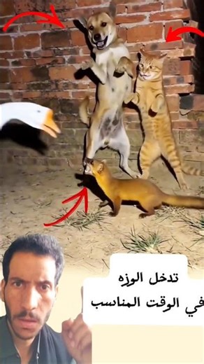 مشهد من الذكاء الاصطناعي #youtubeshorts